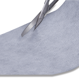 Clinisorb