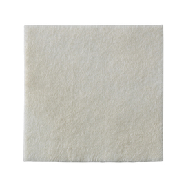 Biatain Alginate Ag